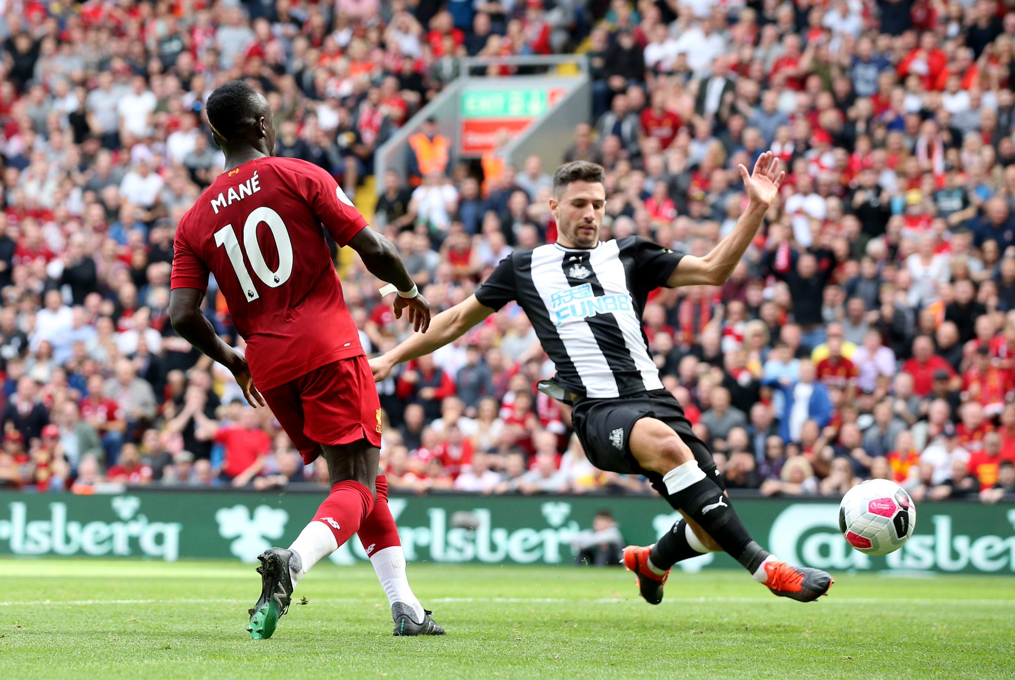 帕尼所言 帕尼所言