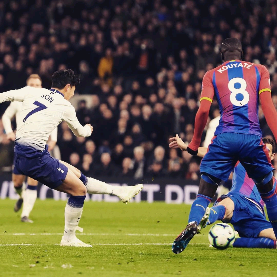 的一大瑰宝 的一大瑰宝